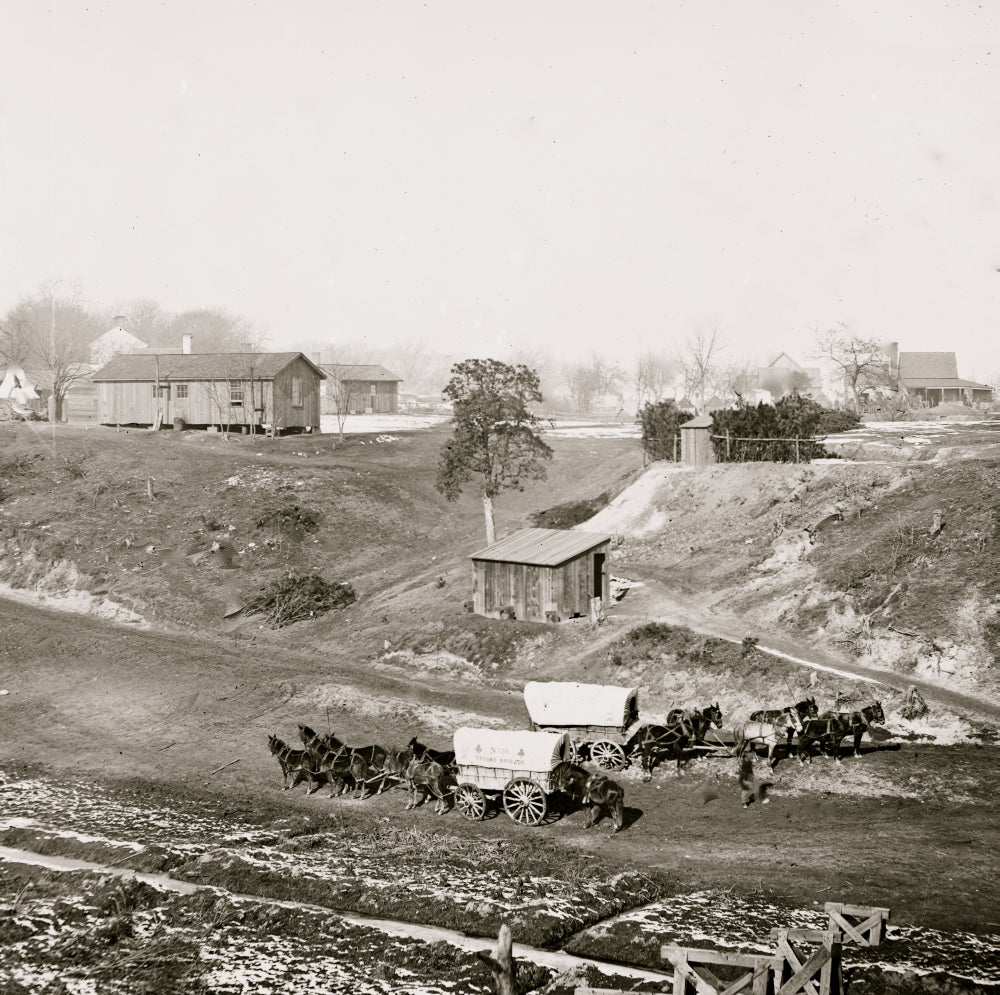 City Point Virginia Supply Wagons of 2nd Brigade, 2nd Corps Poster Print
