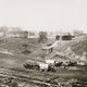 City Point Virginia Supply Wagons of 2nd Brigade, 2nd Corps Poster Print