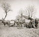 Wagons and Camera of Sam A. Cooley Poster Print showcasing historical photography.