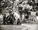 Bealeton Virginia Tent and Wagon Poster Print