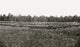Brandy Station Virginia Wagon Park Poster Print