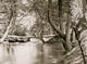 Taylor's Bridge poster print featuring the pontoon bridge over the North Anna River in Virginia.