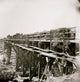 Rappahannock River Bridge Poster Print showcasing serene Virginia landscape.