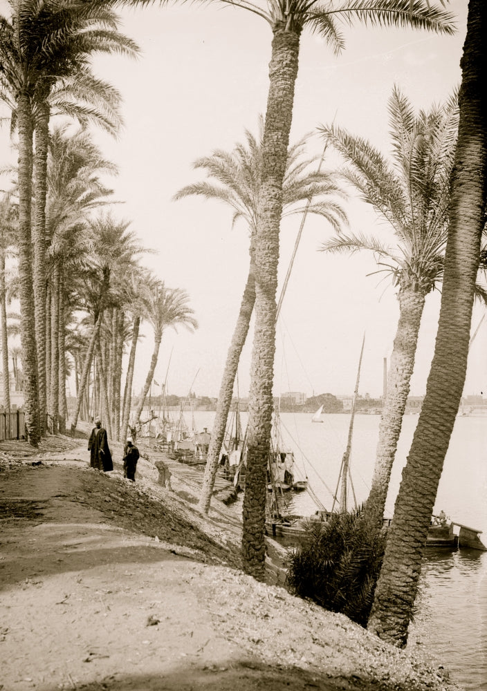 View Looking Down the Nile Poster Print showcasing Cairo's landscape.