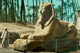 The Sphinx of Memphis Poster Print showcasing ancient art.