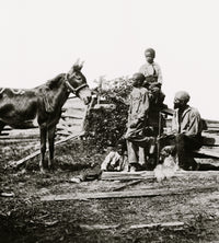 Free at Last Poster Print - Family feeding their donkey