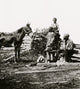 Free at Last Poster Print - Family feeding their donkey