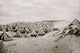 Federal Camp on Beach Poster Print showcasing serene coastal beauty.