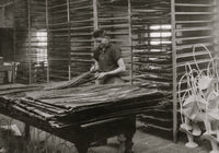 15-Year-Old Boy Sorting Cycas Leaves Poster Print from Boston Floral Supply Co.