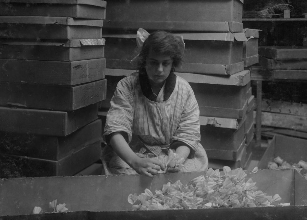 Bunching Sweet Peas at the Boston Floral Supply Co. Poster Print