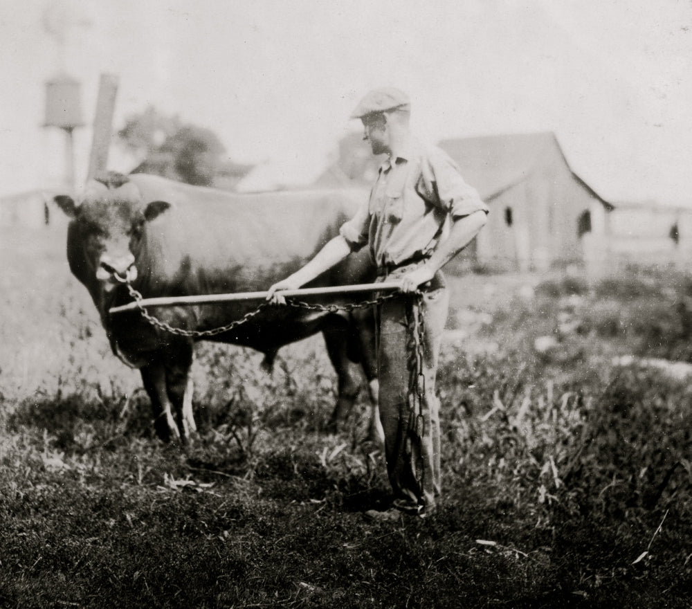 Dairyman in Kentucky poster print featuring a farmer with a cow.