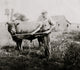 Dairyman in Kentucky poster print featuring a farmer with a cow.