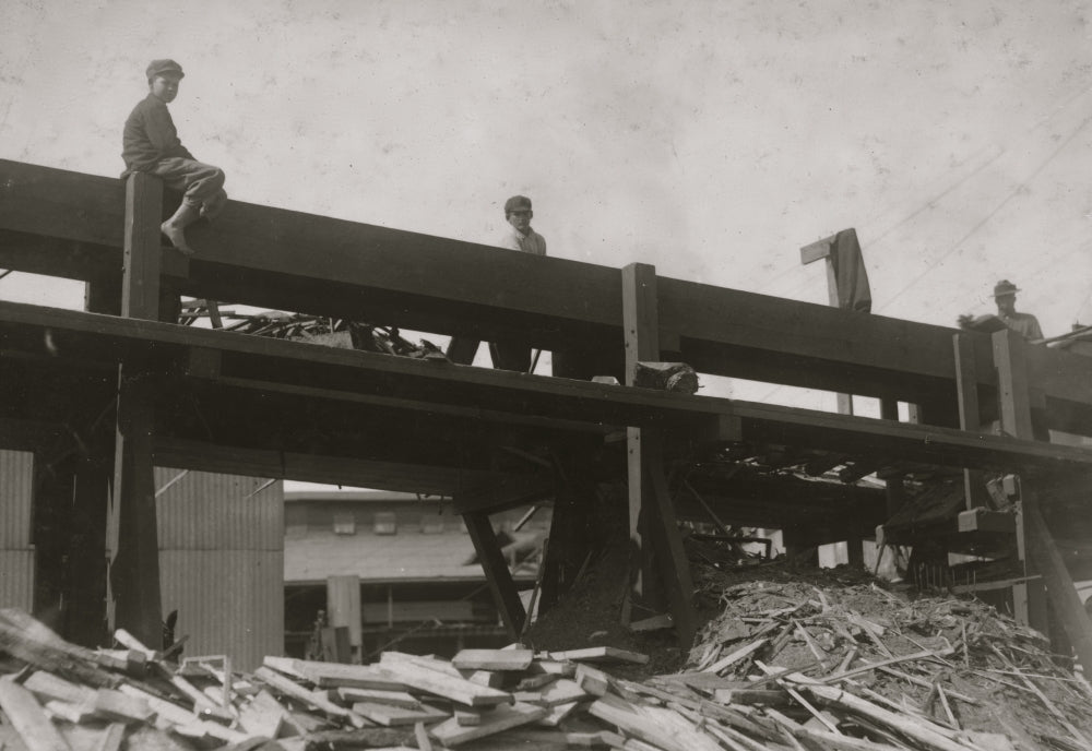Two young boys working at Link Lumber Company poster print.
