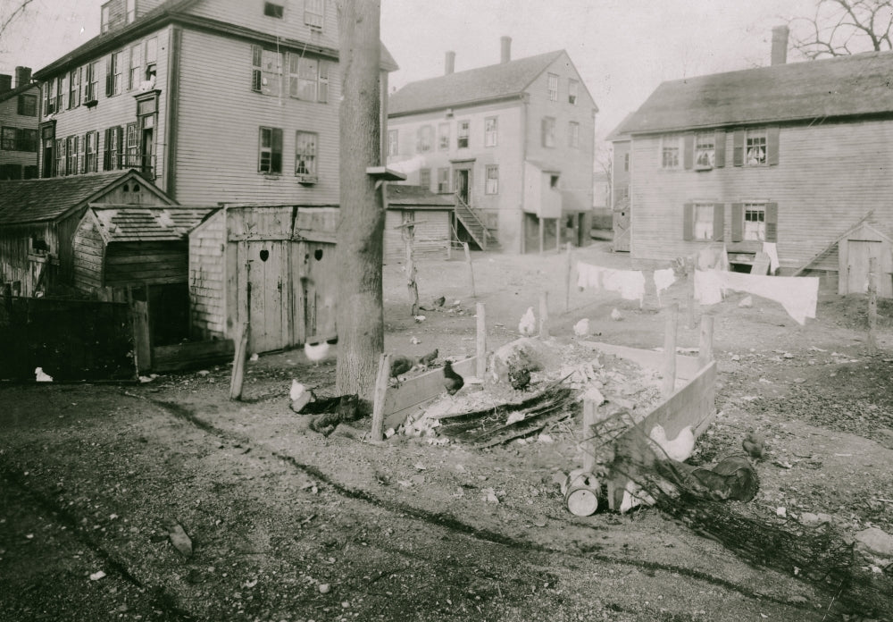 Privies and Garbage Dumps in Backyards Poster Print
