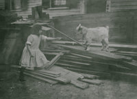 Child Feeds a Sheep in the Backyard Poster Print