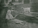 Child Feeds a Sheep in the Backyard Poster Print