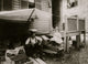 Cavicchio Family Fruit Stand Poster Print depicting daily life in Somerville, Massachusetts.