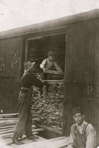 Young boy unloading wood from a boxcar poster print