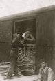 Young boy unloading wood from a boxcar poster print