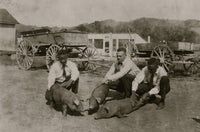Three young farmers raising pigs poster print