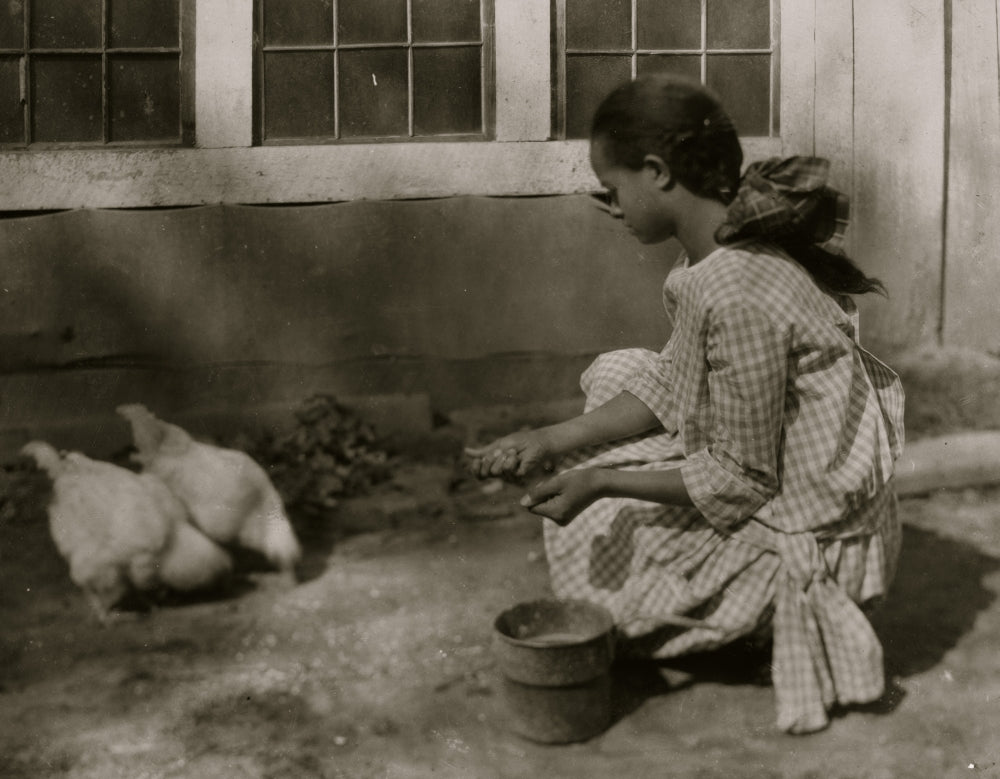 Raising Chickens on the Farm Poster Print showcasing farm life