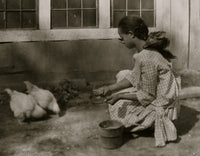 Raising Chickens on the Farm Poster Print showcasing farm life
