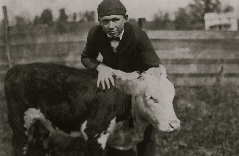 Harry Harper with Registered Calf Poster Print from Pocahontas County, WV.