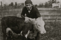 Harry Harper with Registered Calf Poster Print from Pocahontas County, WV.