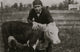 Harry Harper with Registered Calf Poster Print from Pocahontas County, WV.