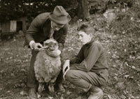 Forest Kellison 4-H Club member treating sheep for parasites poster print