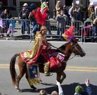 Horseman in the Mardi Gras Parade Poster Print by Carol Highsmith