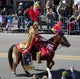 Horseman in the Mardi Gras Parade Poster Print by Carol Highsmith