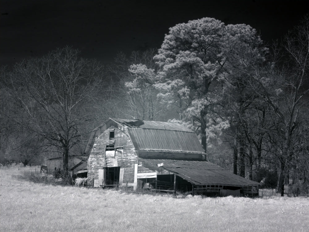 Barn, Dothan, Alabama Poster Print by Carol Highsmith