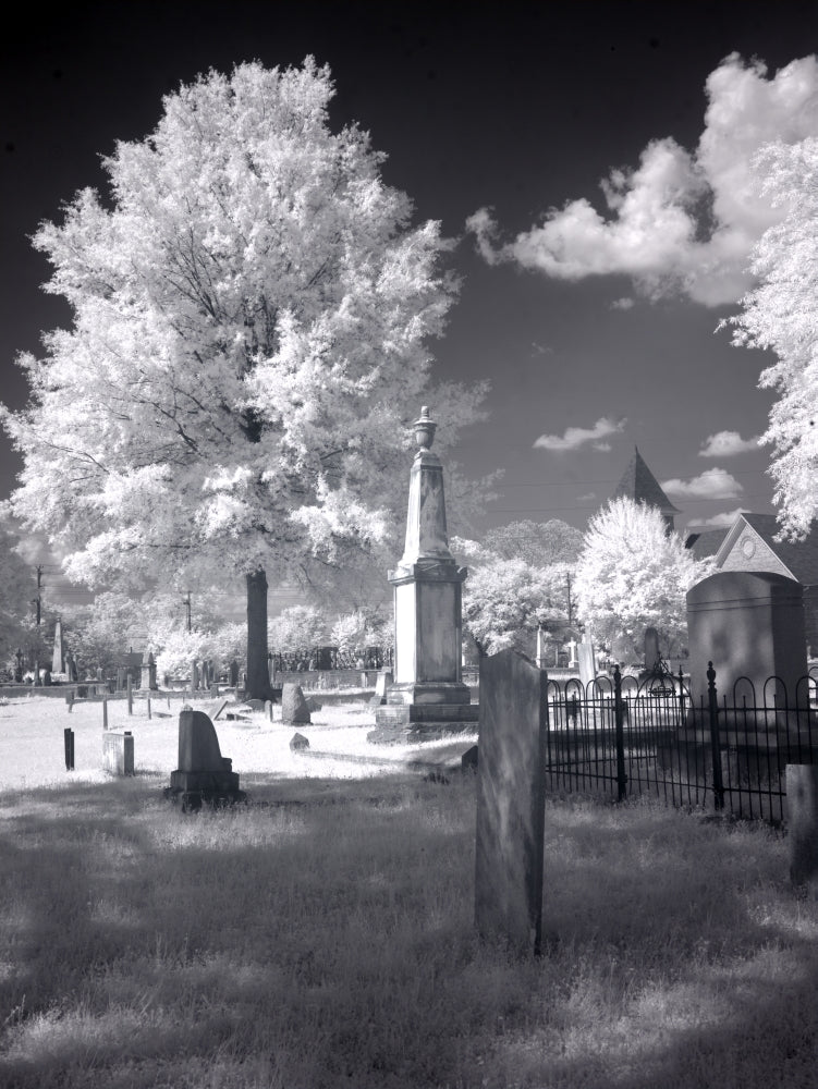 Greenwood Cemetery Poster Print by Carol Highsmith showcasing the original cemetery in Tuscaloosa, Alabama.