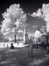 Greenwood Cemetery Poster Print by Carol Highsmith showcasing the original cemetery in Tuscaloosa, Alabama.