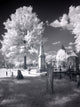 Greenwood Cemetery Poster Print by Carol Highsmith showcasing the original cemetery in Tuscaloosa, Alabama.