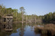 Bellingrath Gardens and Home Poster Print by Carol Highsmith