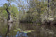 Canoe Trip Up the Mobile Delta Poster Print by Carol Highsmith