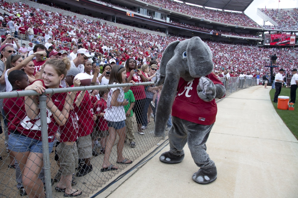 A-Day Spring Practice Scrimmage Poster Print featuring Alabama Crimson Tide football
