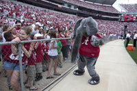 A-Day Spring Practice Scrimmage Poster Print featuring Alabama Crimson Tide football
