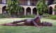 Goldie outdoor art piece captured by Carol Highsmith at the University of Alabama.