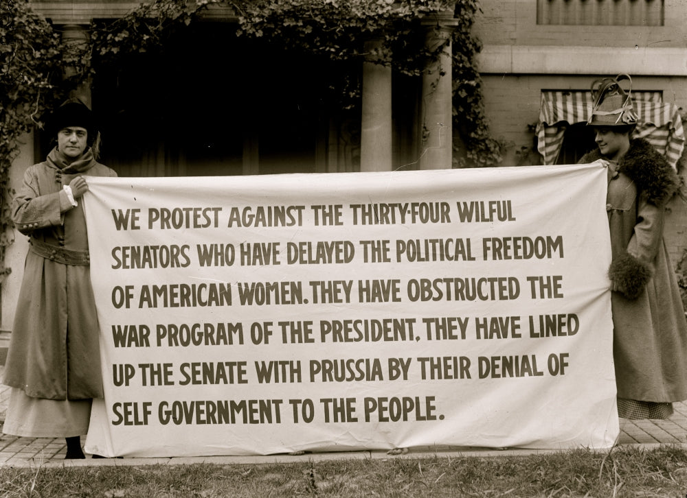 Protest Banner Against Senators Blocking Suffrage Poster Print