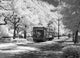 Streetcar on Charles Avenue in New Orleans Poster Print