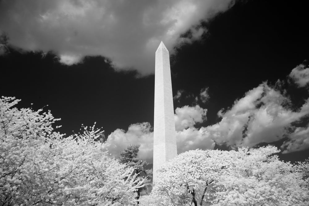 Washington Monument Poster Print showcasing the iconic landmark in vibrant colors.
