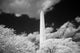 Washington Monument Poster Print showcasing the iconic landmark in vibrant colors.