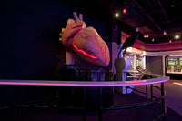My Body Works Interactive Exhibit Poster Print showcasing detailed human anatomy.