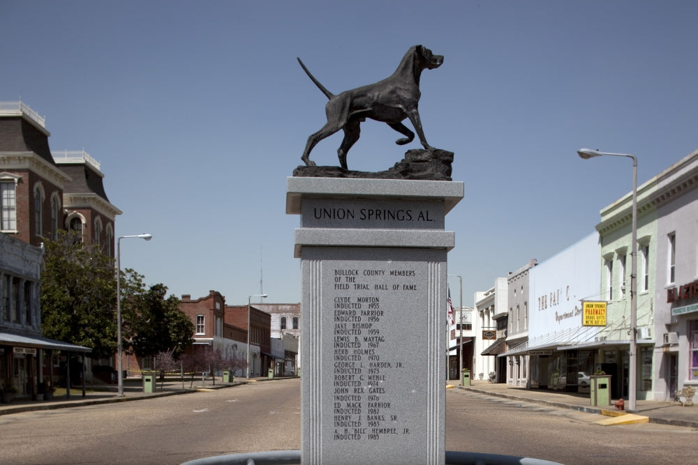 Life-size bronze statue of an English pointer poster print.