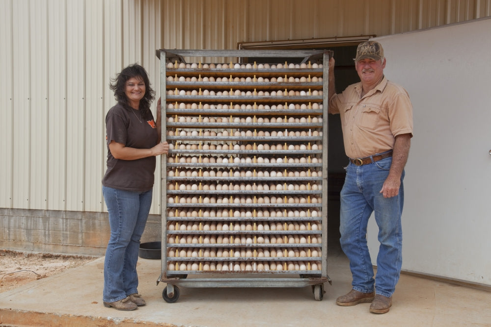 Dennis and Becky Salter next to their chickens in Monroe County, Alabama poster print