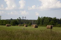 Hay Bales Landscape Poster Print showcasing a 69.2-acre farm near Carrollton, Alabama