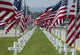 Flags Fly for Gadsden Area War Veterans Poster Print